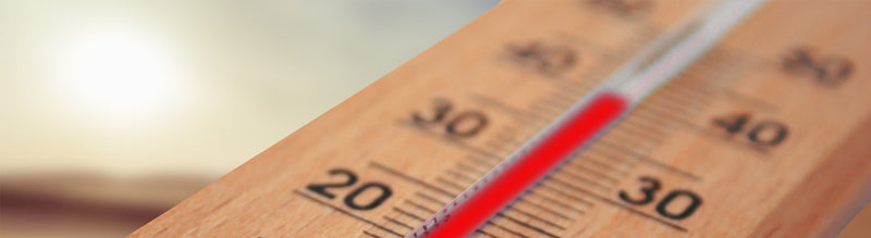 Wie das Wetter die Gewichtsabnahme beeinflusst