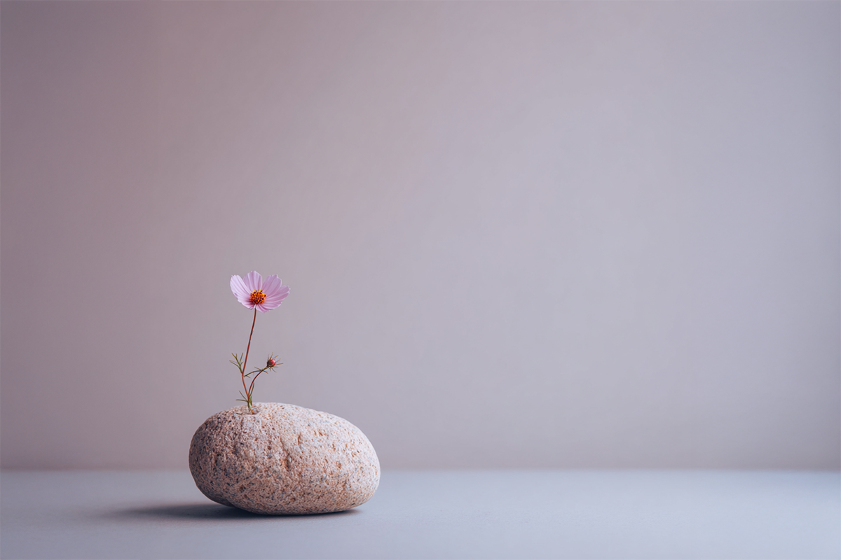 Wenn das Gewicht zur Last wird – über Scham und Selbstwert