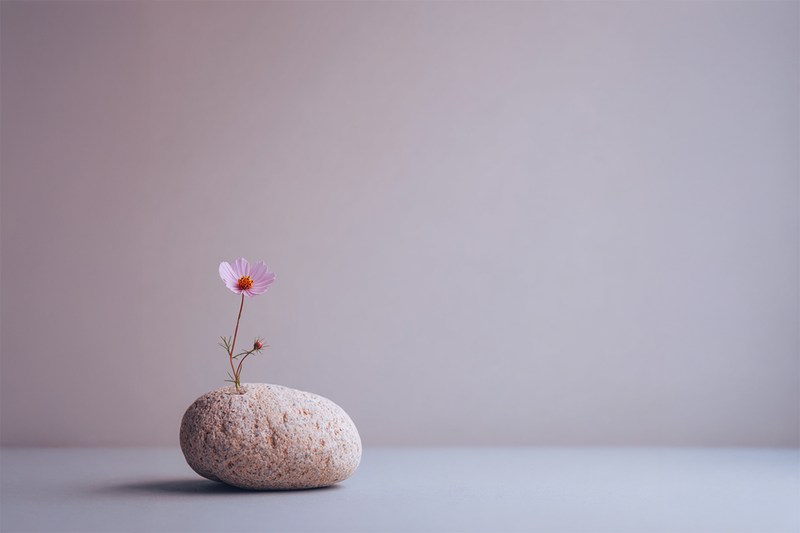 Wenn das Gewicht zur Last wird – über Scham und Selbstwert