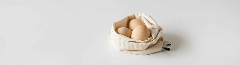 Eier – Gesund oder mit Vorsicht zu geniessen?