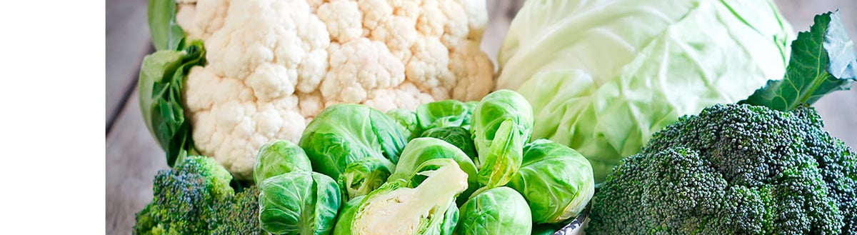 Tout ce qu'il faut savoir sur le chou