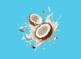 Cocco