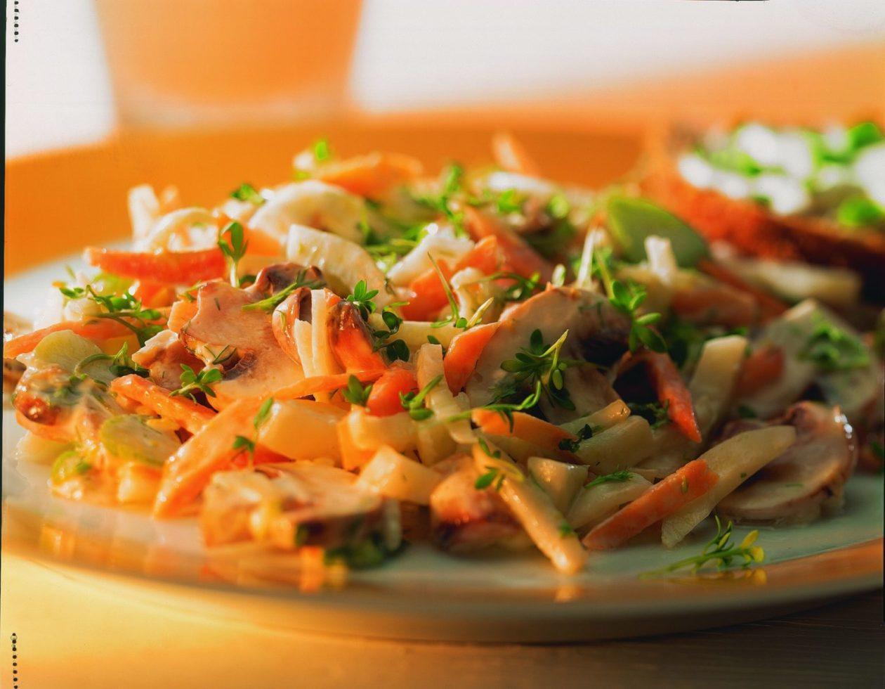 bunter fenchelsalat Bunter Fenchelsalat - BCM Diät Rezepte.ch