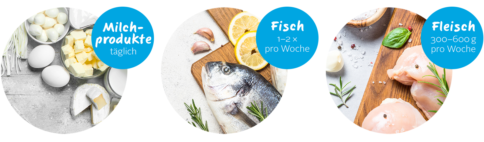 Fleisch Fisch-