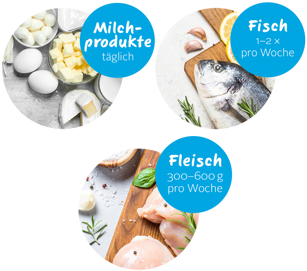 Fleisch Fisch mobile