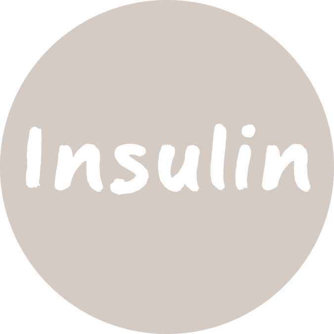 Insulin