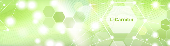 L-Carnitin blog-header desktop x