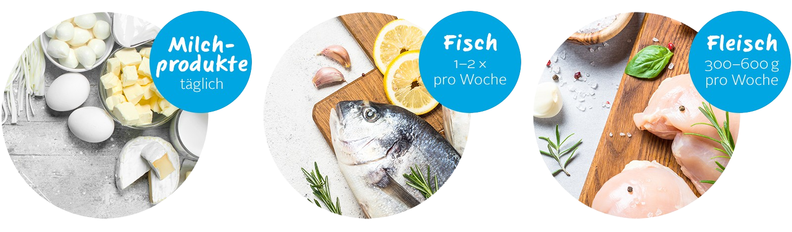 Fleisch Fisch-